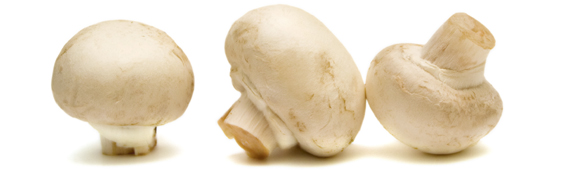 liersch_pilze Champignons Liersch Obst, Gemüse- und Kartoffelgroßhandel Frischezentrum Essen