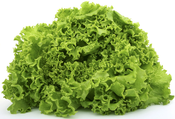 liersch_salat Salat Liersch Obst, Gemüse- und Kartoffelgroßhandel Frischezentrum Essen
